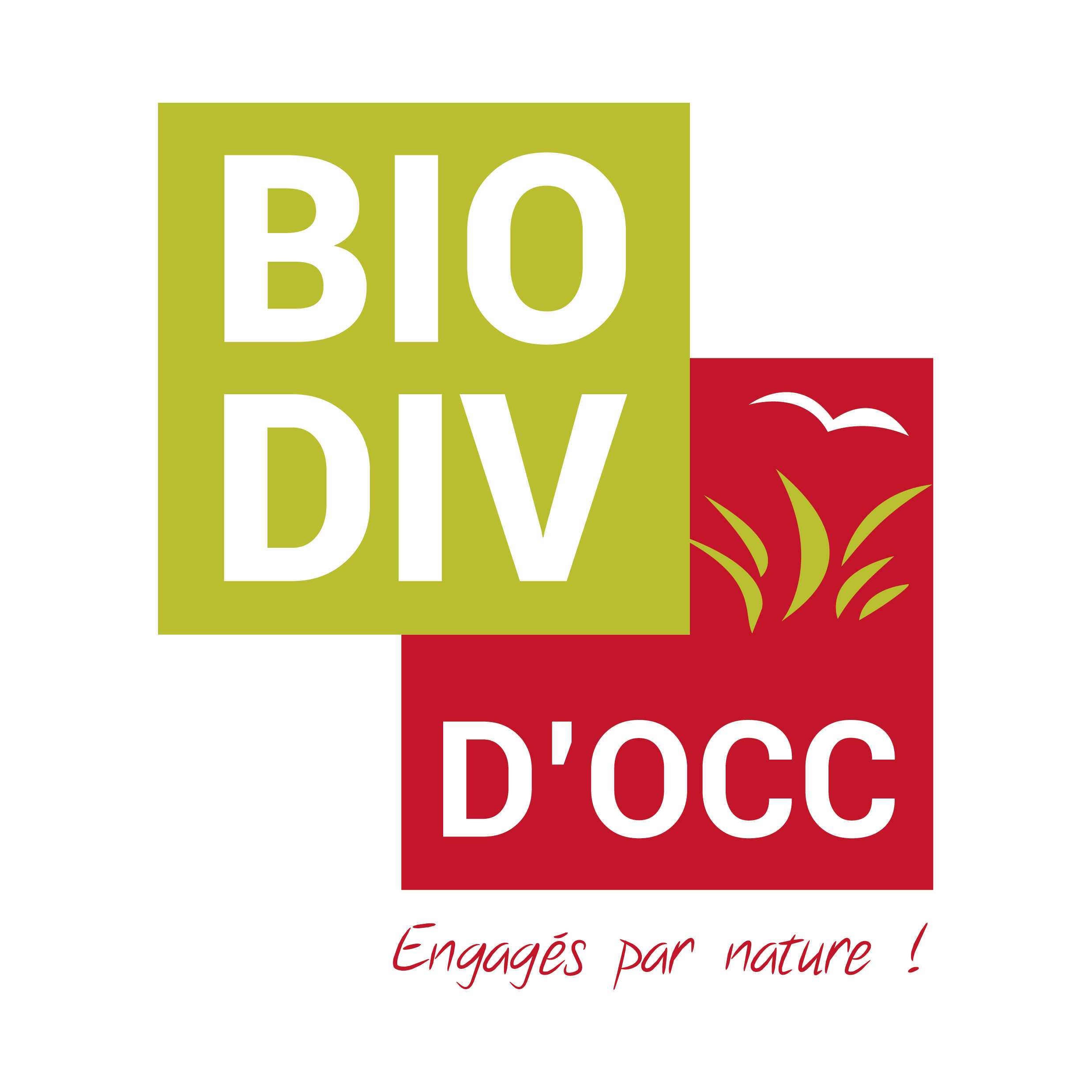 Photo de Trophées pour la biodiversité en Occitanie : votez pour BIODIV D'OCC !